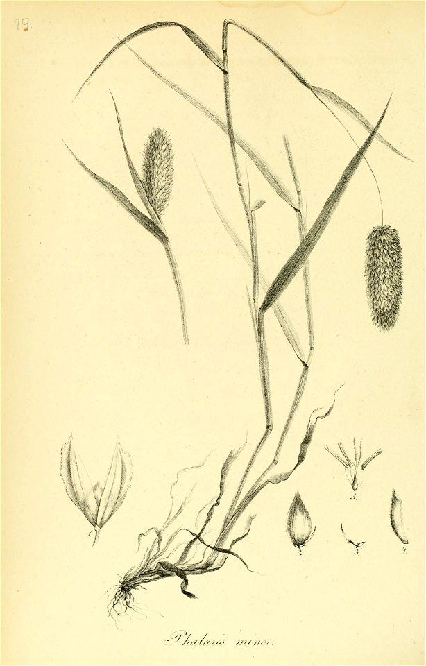 n381_w1150