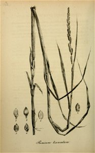 n215_w1150