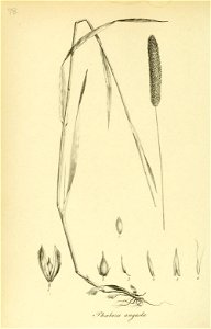 n377_w1150