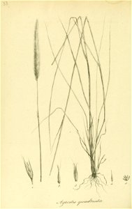 n181_w1150