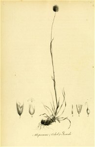 n19_w1150