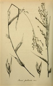 n407_w1150