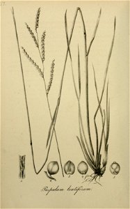 n83_w1150