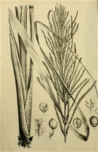 n19_w1150