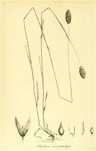 n373_w1150