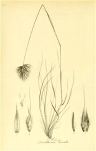 n309_w1150
