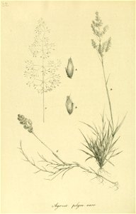 n177_w1150