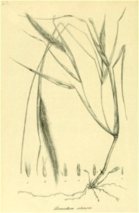 n119_w1150