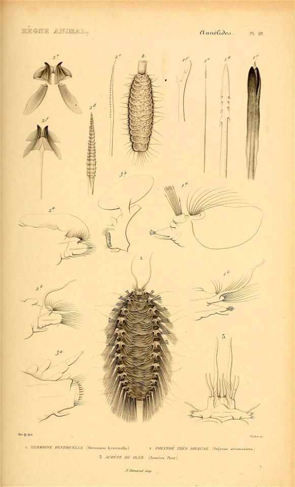 n104_w1150