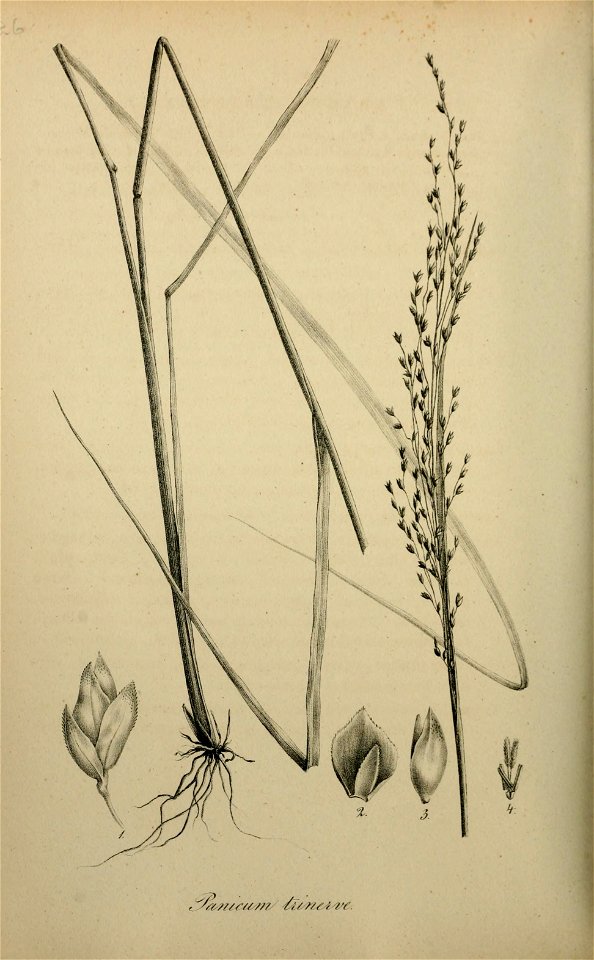 n467_w1150