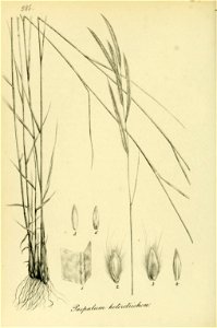 n203_w1150