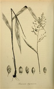 n463_w1150