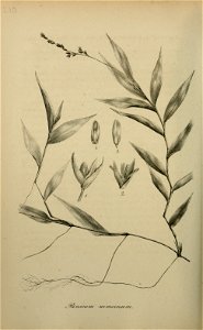 n399_w1150