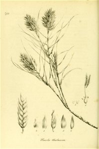 n265_w1150