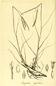 n557_w1150