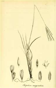 n493_w1150