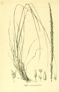 n297_w1150