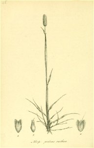 n233_w1150