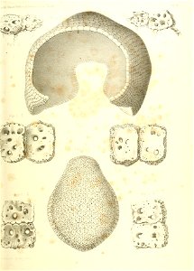 n464_w1150