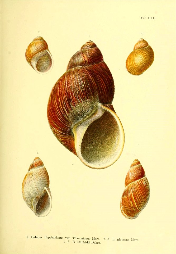 n212_w1150