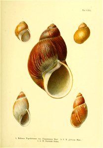 n212_w1150
