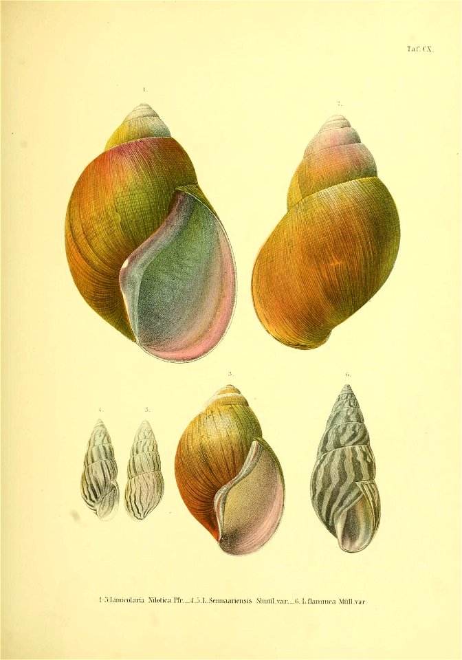 n182_w1150