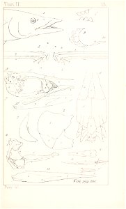 n478_w1150
