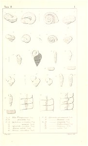 n448_w1150