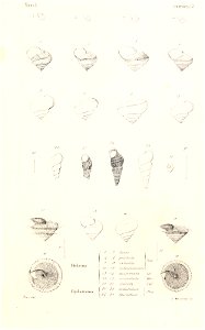 n478_w1150