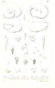 n536_w1150