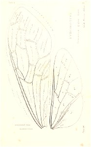 n506_w1150