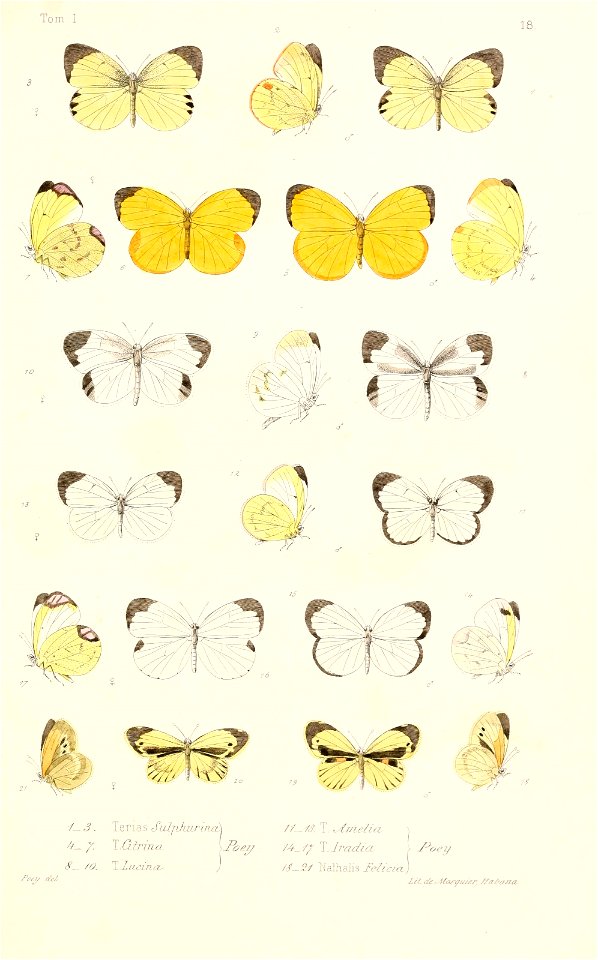 n504_w1150