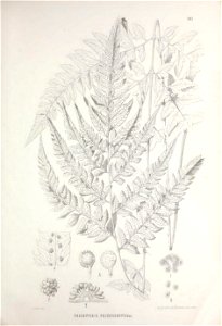 n464_w1150