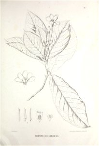 n404_w1150