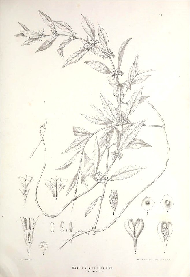 n402_w1150