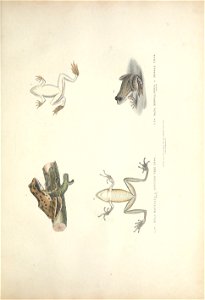 n176_w1150