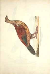 n116_w1150