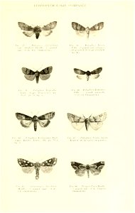 n552_w1150