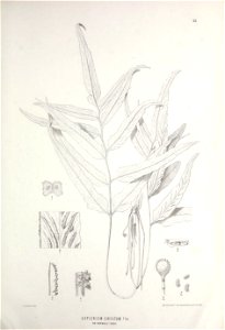 n456_w1150