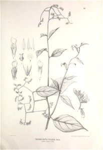 n396_w1150