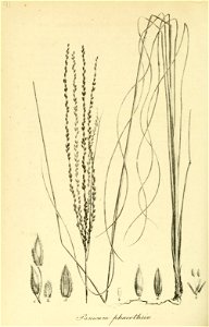 n433_w1150