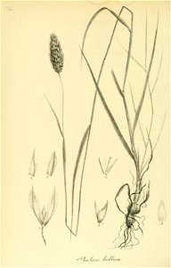 n369_w1150
