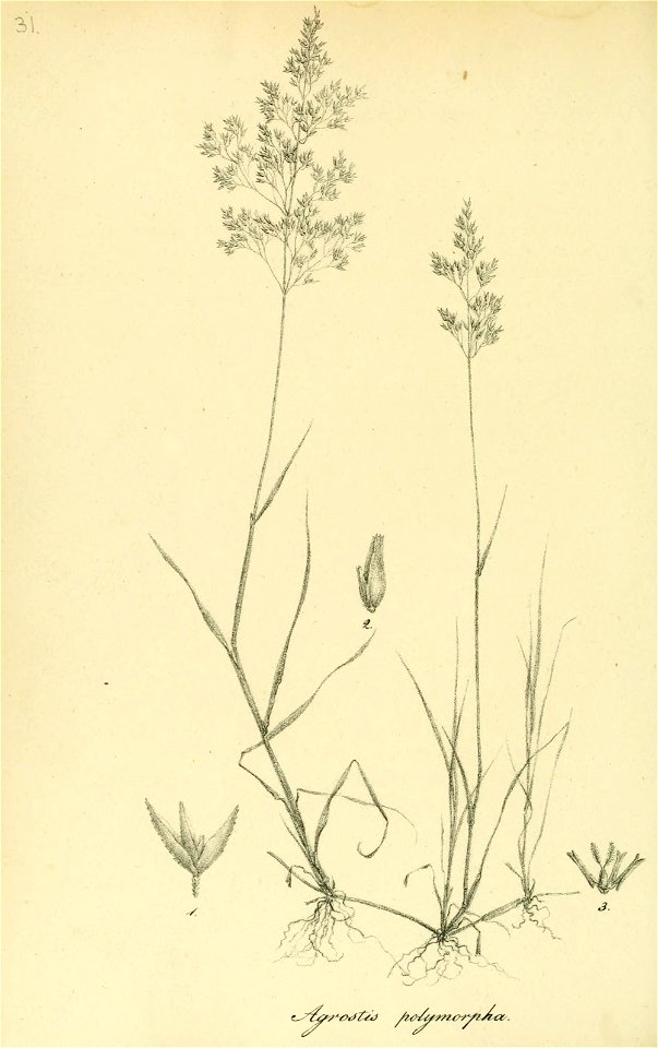 n173_w1150