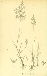 n173_w1150