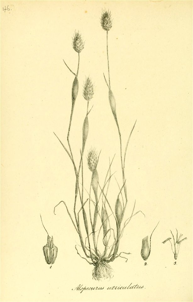n237_w1150
