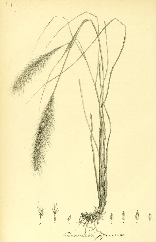 n115_w1150