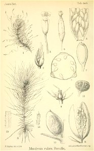 n329_w1150