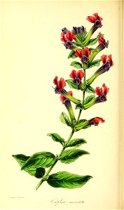 n157_w1150