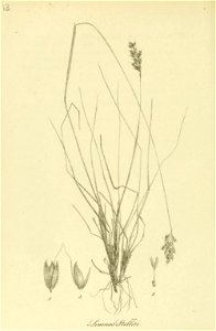 n111_w1150