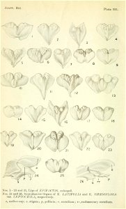 n255_w1150